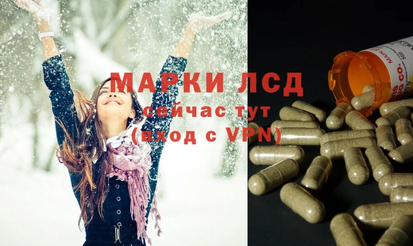 сатива Абинск