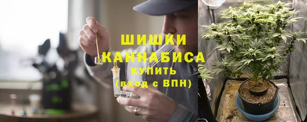 сатива Абинск
